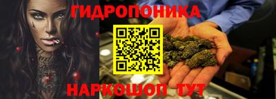 прущие грибы Вязьма