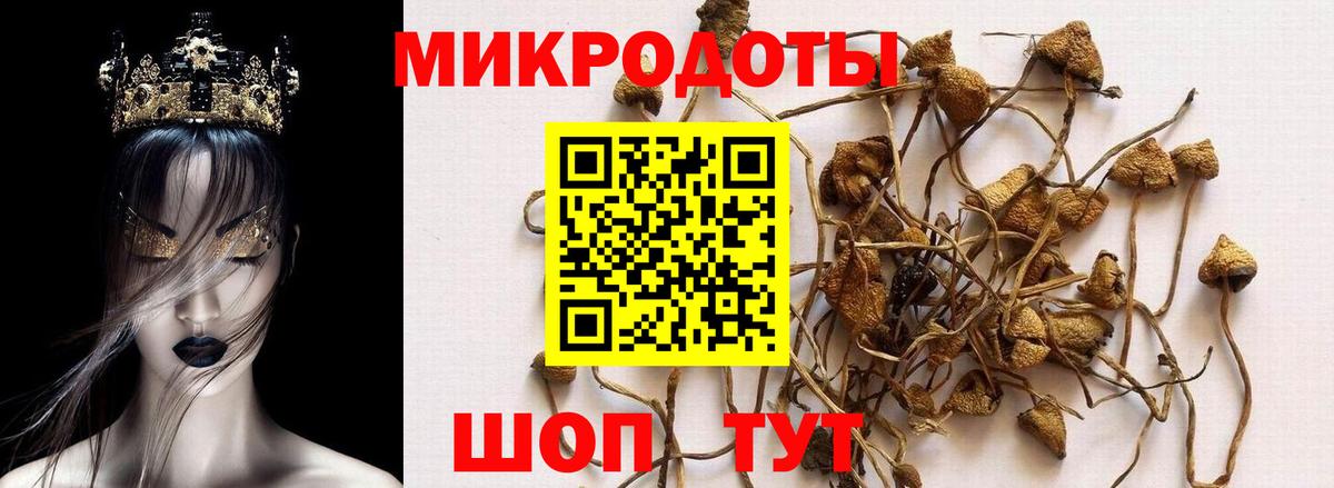 Белебей  Галлюциногенные грибы ЛСД  Вход с VPN 